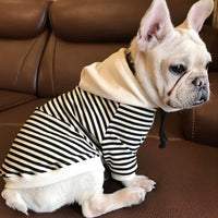 ドッグウェア パーカー ネコポス