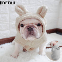 ドッグウェア パーカー ネコポス