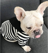 ドッグウェア パーカー ネコポス