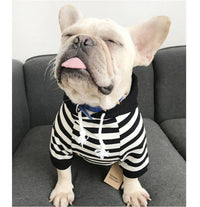 ドッグウェア パーカー ネコポス