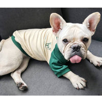 ドッグウェア Tシャツ ネコポス