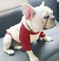 ドッグウェア Tシャツ ネコポス