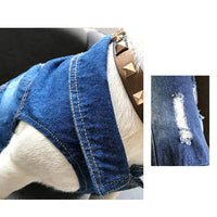 ドッグウェア Gジャン ネコポス