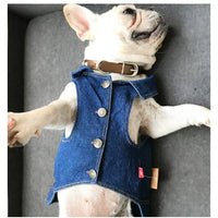 ドッグウェア Gジャン ネコポス