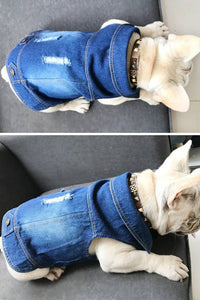 ドッグウェア Gジャン ネコポス