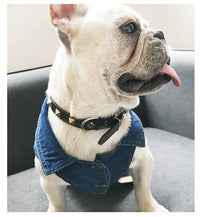 ドッグウェア Gジャン ネコポス