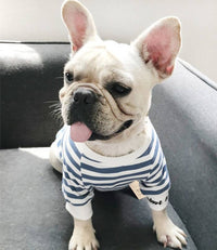 ドッグウェア トレーナー ネコポス