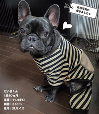 ドッグウェア オールインワン ネコポス