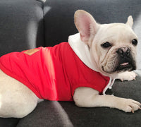 ドッグウェア 中綿ベスト ネコポス