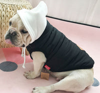 ドッグウェア 中綿ベスト ネコポス