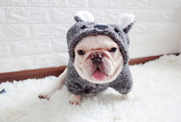 ドッグウェア パーカー ネコポス