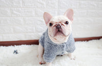 ドッグウェア パーカー ネコポス