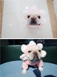 ドッグウェア パーカー ネコポス