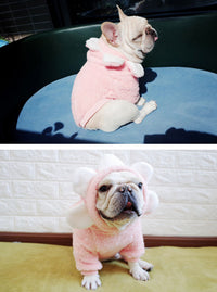 ドッグウェア パーカー ネコポス