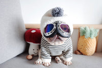 ドッグウェア パーカー ネコポス