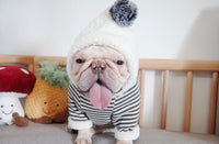 ドッグウェア パーカー ネコポス