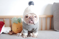 ドッグウェア パーカー ネコポス