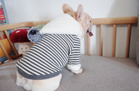 ドッグウェア パーカー ネコポス