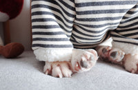 ドッグウェア パーカー ネコポス