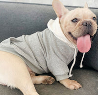 ドッグウェア パーカー ネコポス