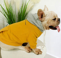 ドッグウェア パーカー ネコポス