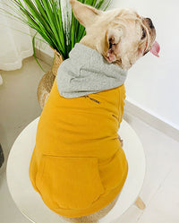 ドッグウェア パーカー ネコポス