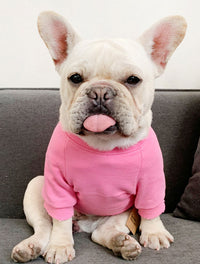 ドッグウェア トレーナー ネコポス