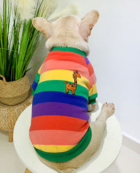 ドッグウェア トレーナー ネコポス