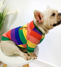 ドッグウェア トレーナー ネコポス