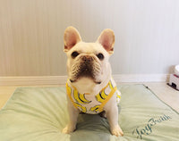 ドッグウェア タンクトップ ネコポス