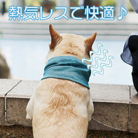 ドッグアクセサリー クールバンダナ ネコポス