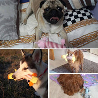 ドッグトイ ぬいぐるみ ネコポス