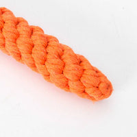 ドッグトイ ロープ ネコポス