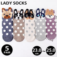 レディース 靴下 ソックス 5足セット ネコポス