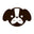 CLARAH logo